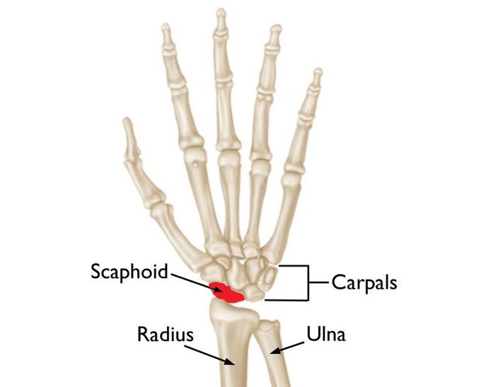 Bone Health Supplement