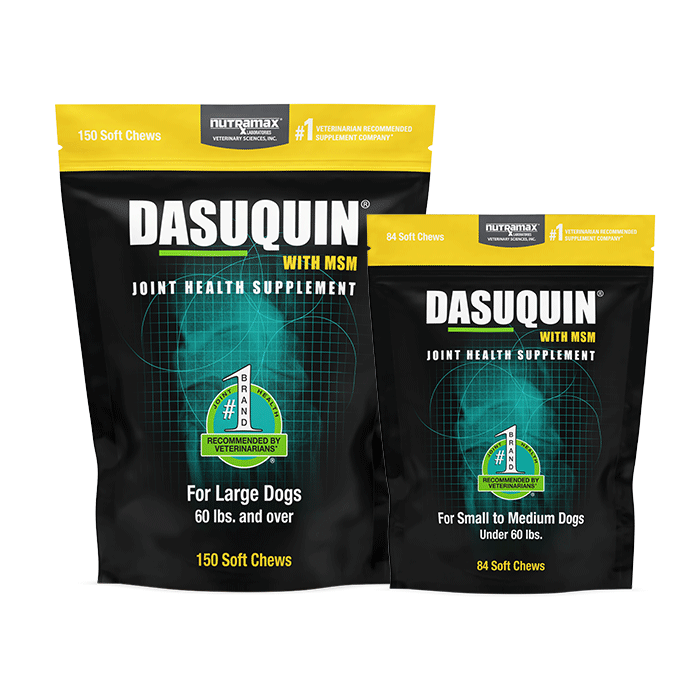 Dasuquin® Joint Health Supplements | Where to Buy Dasuquin Advanced Joint Health Supplement