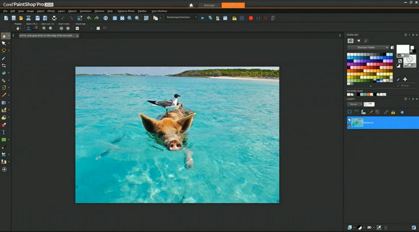 The 17 Best Free Photo Editing Software for Windows and Mac – Motricialy Free Edit Software