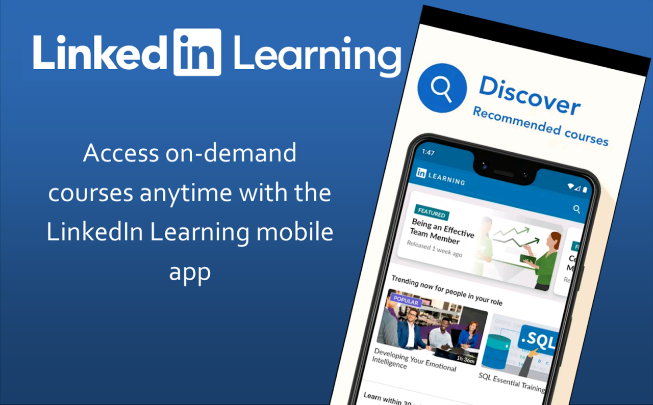 Best Mobile Learning Apps Reviewed